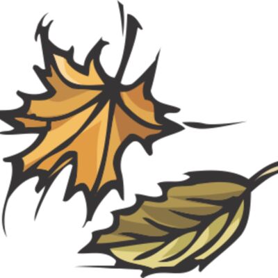 fall leaves Thumbnail