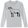 Softstyle Long Sleeve T-Shirt Thumbnail