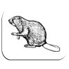 Fabric Mousemat Thumbnail