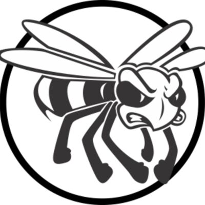 hornets Thumbnail