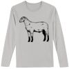 Softstyle Long Sleeve T-Shirt Thumbnail