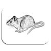 Fabric Mousemat Thumbnail